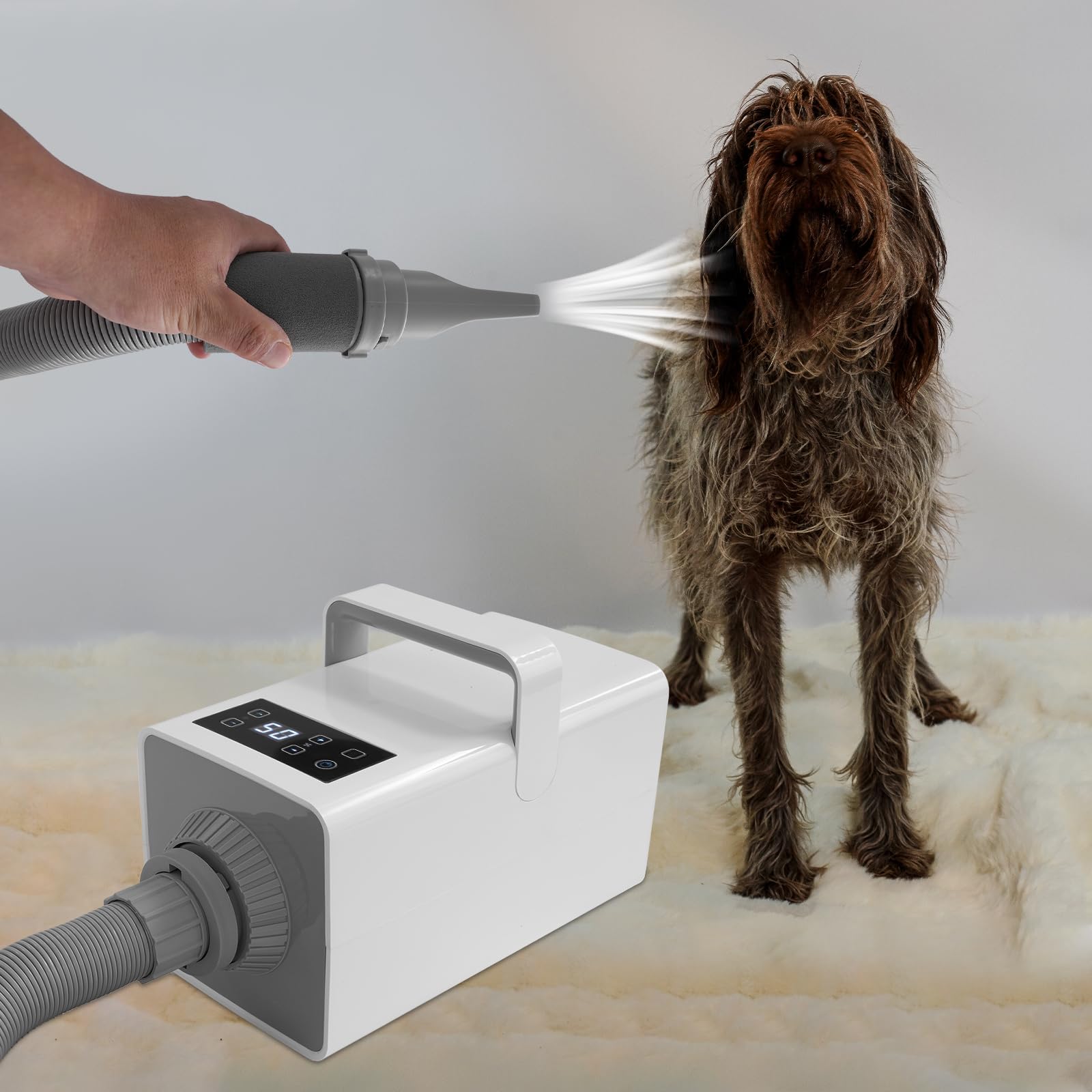 Sèche-cheveux pour animal de compagnie avec 4 buses et tuyau, 2200 W, 7 niveaux de vitesse du vent, 35 à 60 °C, silencieux et sûr pour les petits et grands animaux