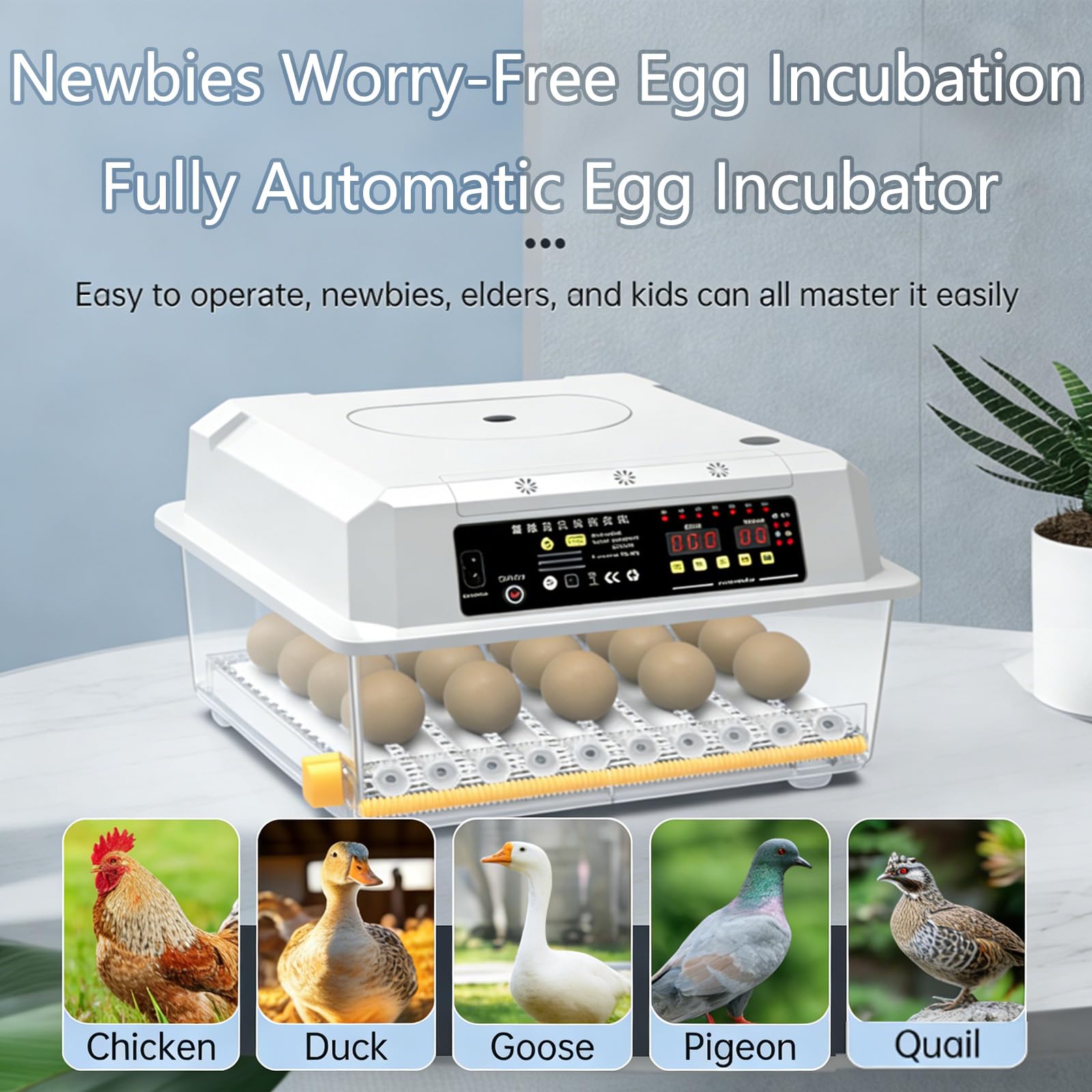 Incubadora De Huevos Con Paletta, Termostato Digitale E Controllo Dell'umidità, Visione Chiara A 360° - Per Far Schiudere Uova Di Pollo, Anatra E Quaglia A Casa, In Fattoria O A Scuola Nine