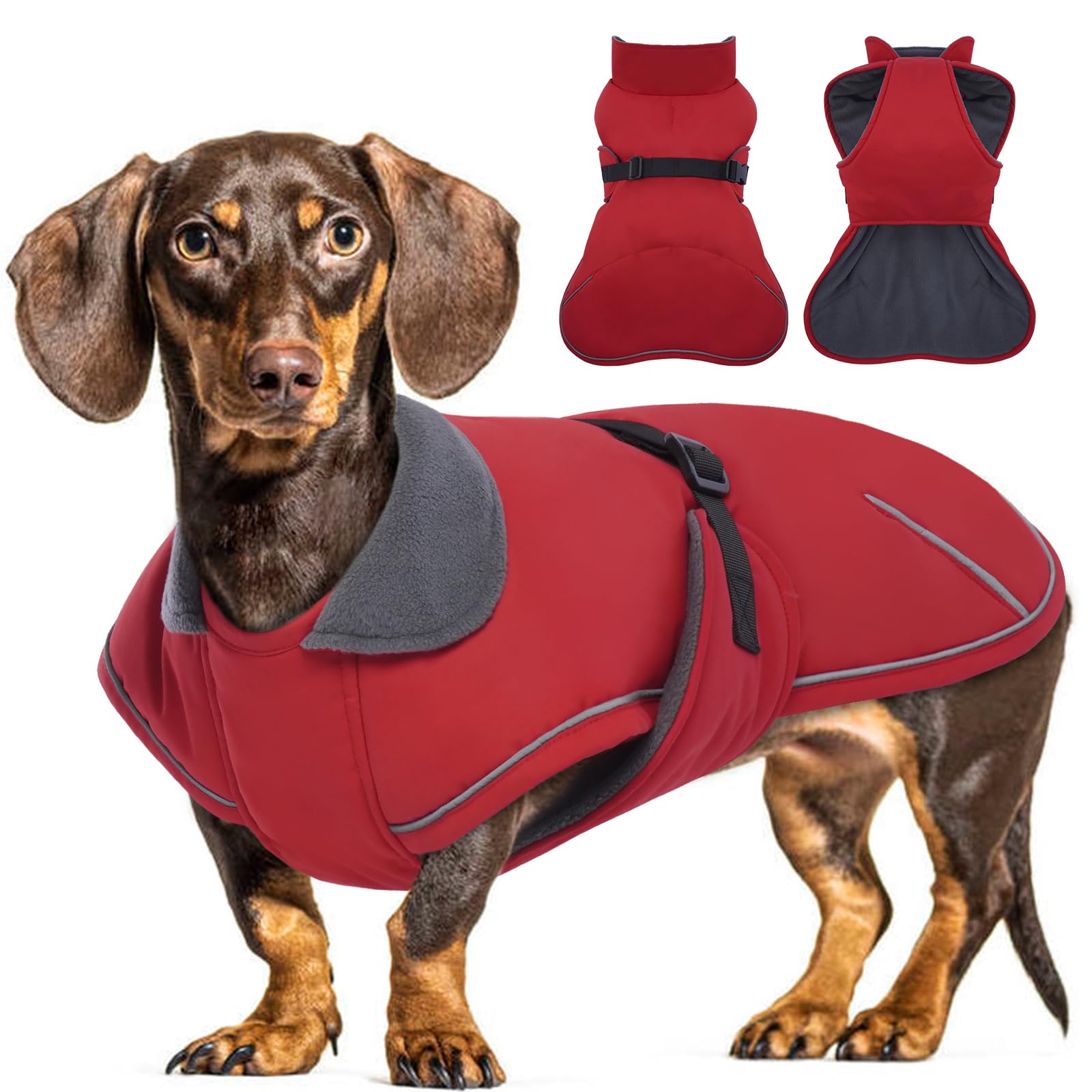 Veste D'hiver Pour Chien – Manteau Chaud En Peluche, Trou Pour Laisse, Idéal Teckel Ou Petit Chien
