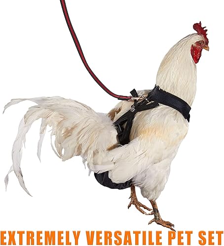 Miniatura 7 de Yesito Arnés de pollo tamaño gallina con correa a juego de 6 pies, cómodo, transpirable y lavable para mascotas, para pollos, gansos, patos y más,