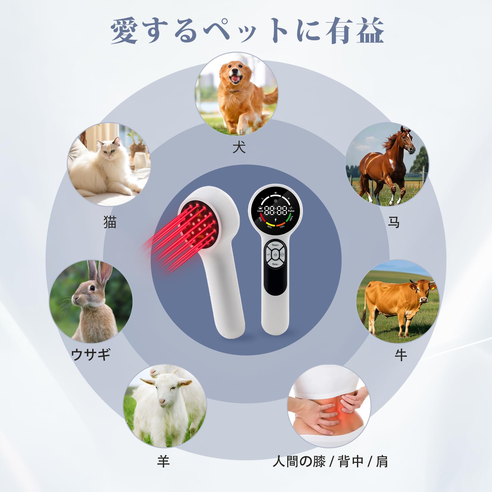 Amazon.co.jp: 動物用レーザー 赤色ledスーパーライザー 犬 猫 動物用