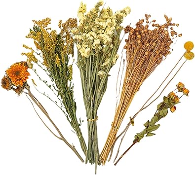Dried herbss Hamster Bedding 25cm Natural Edible Hamster Bedding Odor Control Forage Spray Summer Cooling Cage Accessories For Dwarf Syrian Gerbils Lemming Decor