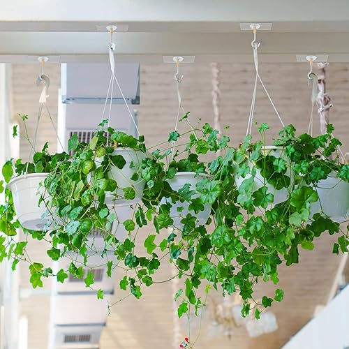 Miniatura 4 de Dlilise Paquete de 10 ganchos adhesivos para techo, ganchos adhesivos fuertes con capacidad para 20 libras, gancho para colgar techo sin taladro,