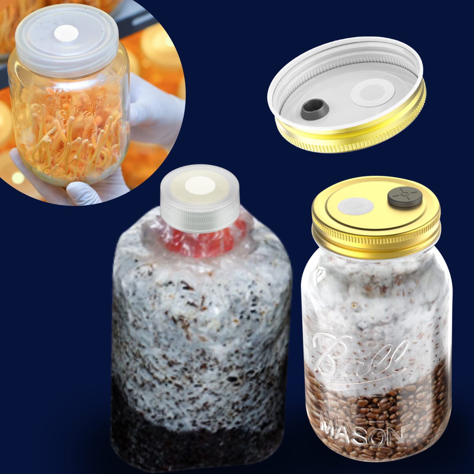 64 Filtri Adesivi In PTFE Per Coltivazione Funghi - Dischi Idrofobici 20mm 0.3µm - Foto 7