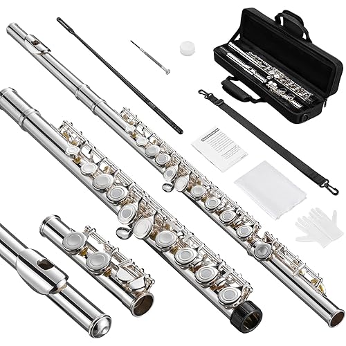 Open Hole C Flute, 16 Keys Student Flute Instrument for Beginner Advanced Player, with Carry Bag, Strap, Gloves, Adjustment Screwdriver, Cleaning Kit (Open/Closed Hole, Silver Plated)