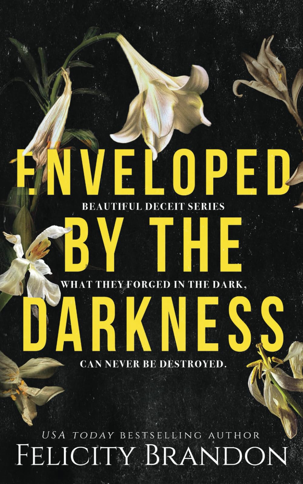 Enveloped By The Darkness: A Dark Captivating Romance (Beautiful Deceit)