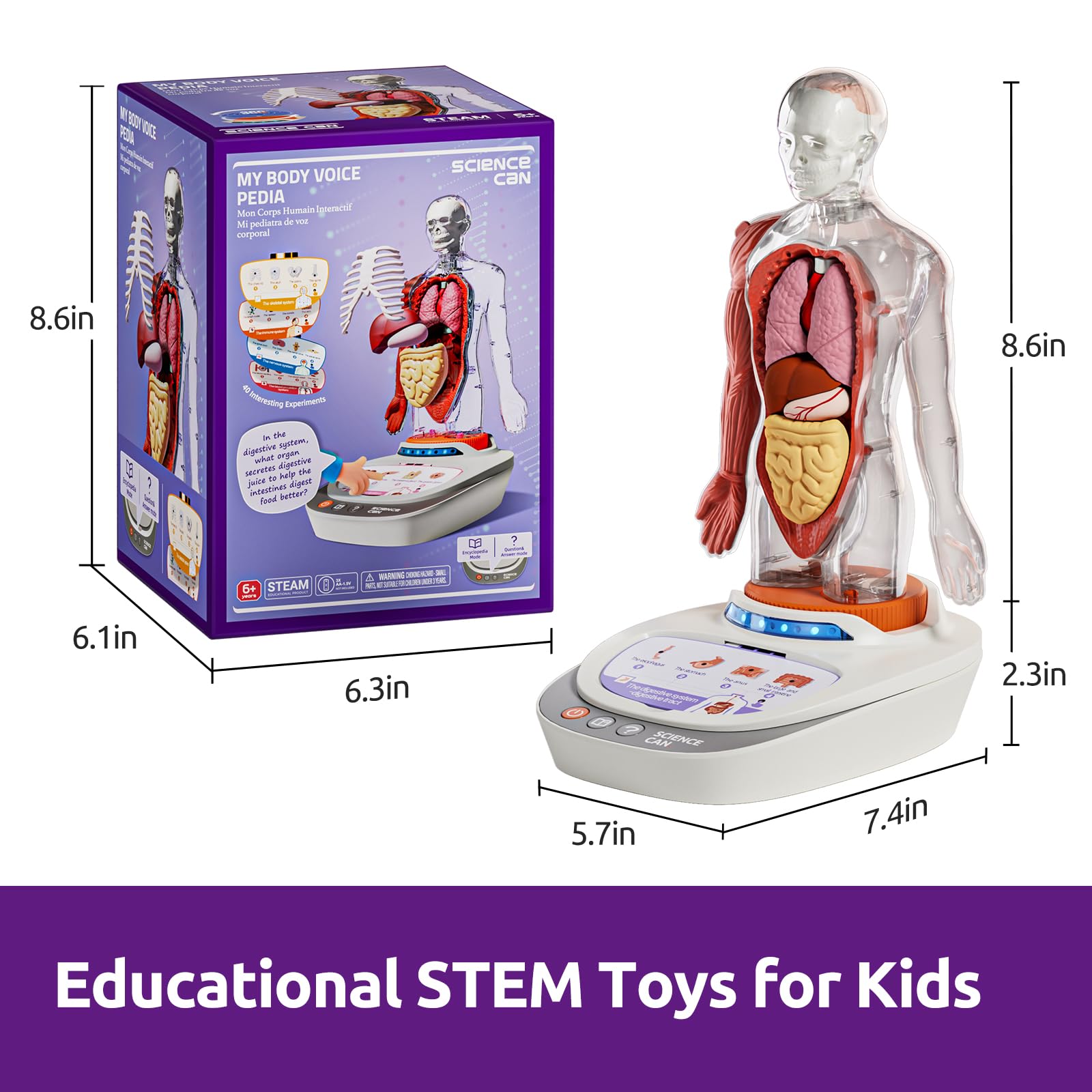 Science Can Model anatomiczny dla dzieci, zestaw ludzkiego ciała, interaktywna zabawka – angielski, realistyczne organy i szkielet, zestaw 22 cm, pudełko eksperymentalne dla dzieci od 6 lat (wersja