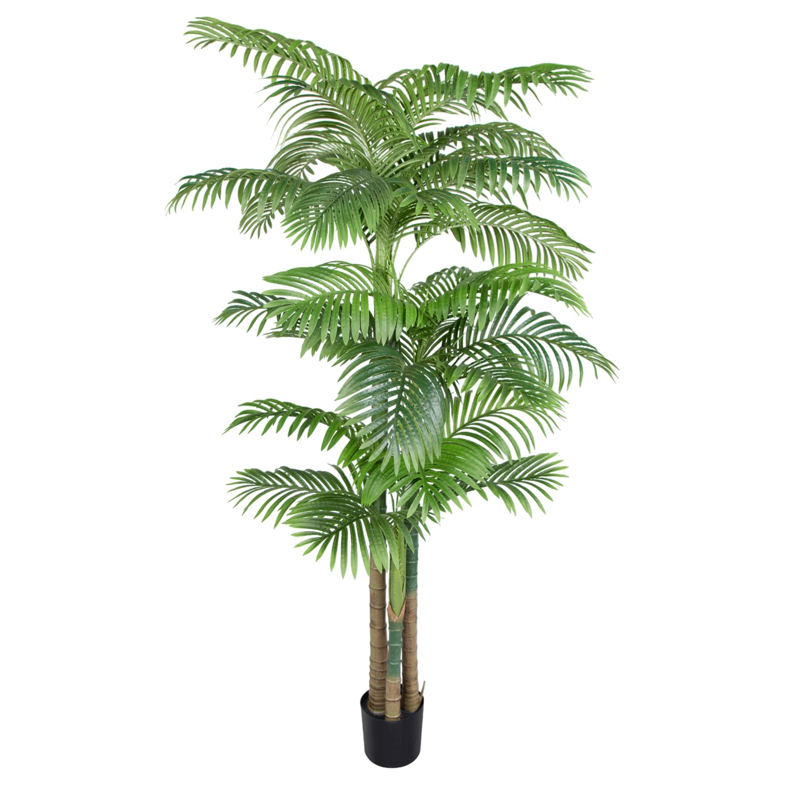 ANTING 7.5ft Triple Golden Cane Palm