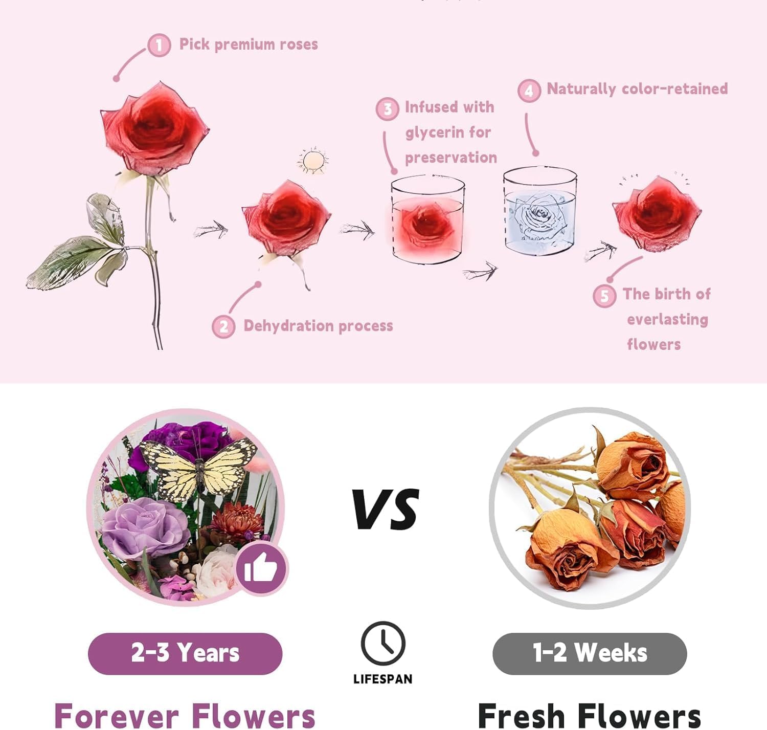 Preserved Flowers in Glass with Lights--5.9*3.8inch, Mother Birthday Gift, Real Forever Flower for Delivery Prime, Long-Lasting Fresh Flower Gift for Grandma Women Sister Daughter Wife Her Girlfriend
