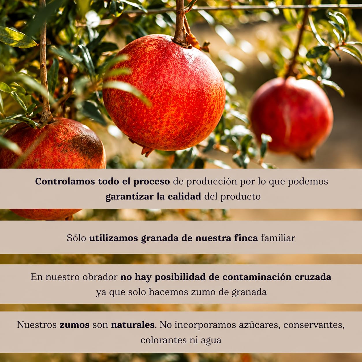 Arilo Fruits® Zumo de Granada 100% Natural Variedad Kingdom | Prensado en Frío | Pack Zumo Granada Natural 12x750 ml sin Azúcar Añadido y rico en Antioxidantes | Zumo Premium | Vegano