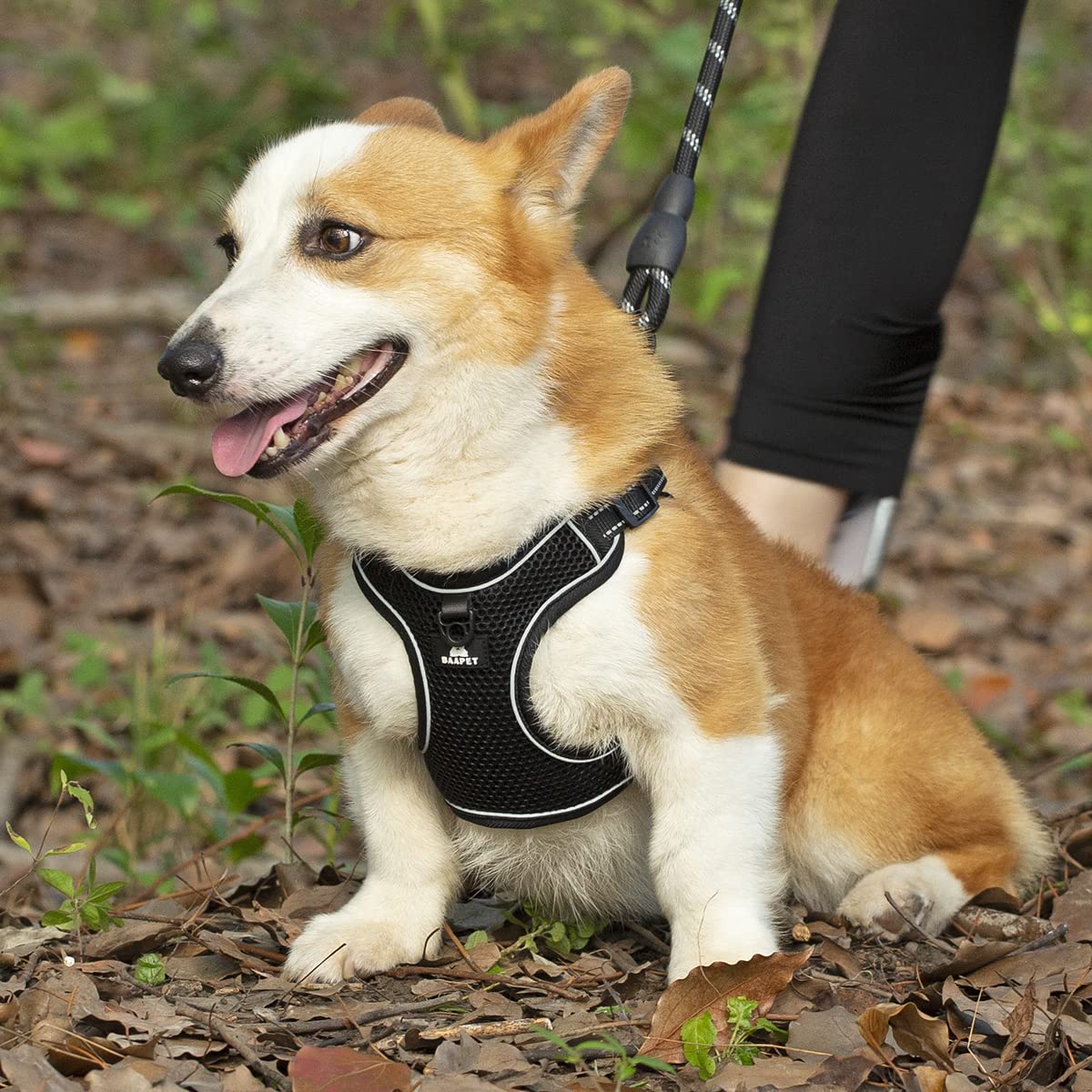 BAAPET Atmungsaktives Hundegeschirr Mit Leine – Step-in, Air-Mesh, Reflektierend, Größe XL