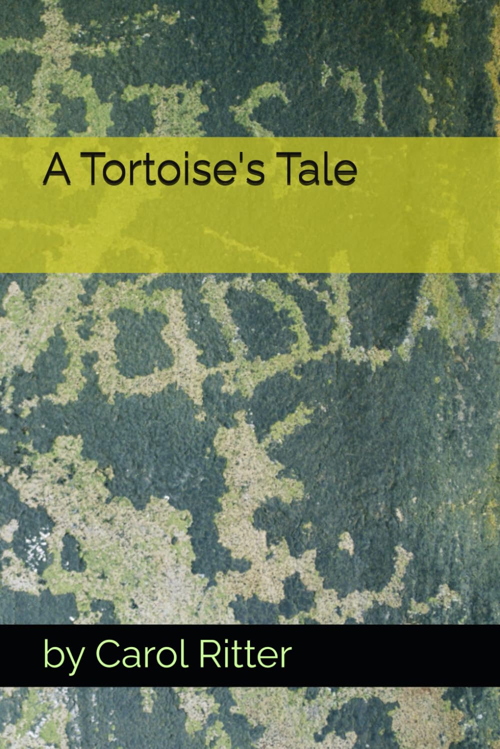 A Tortoise's Tale