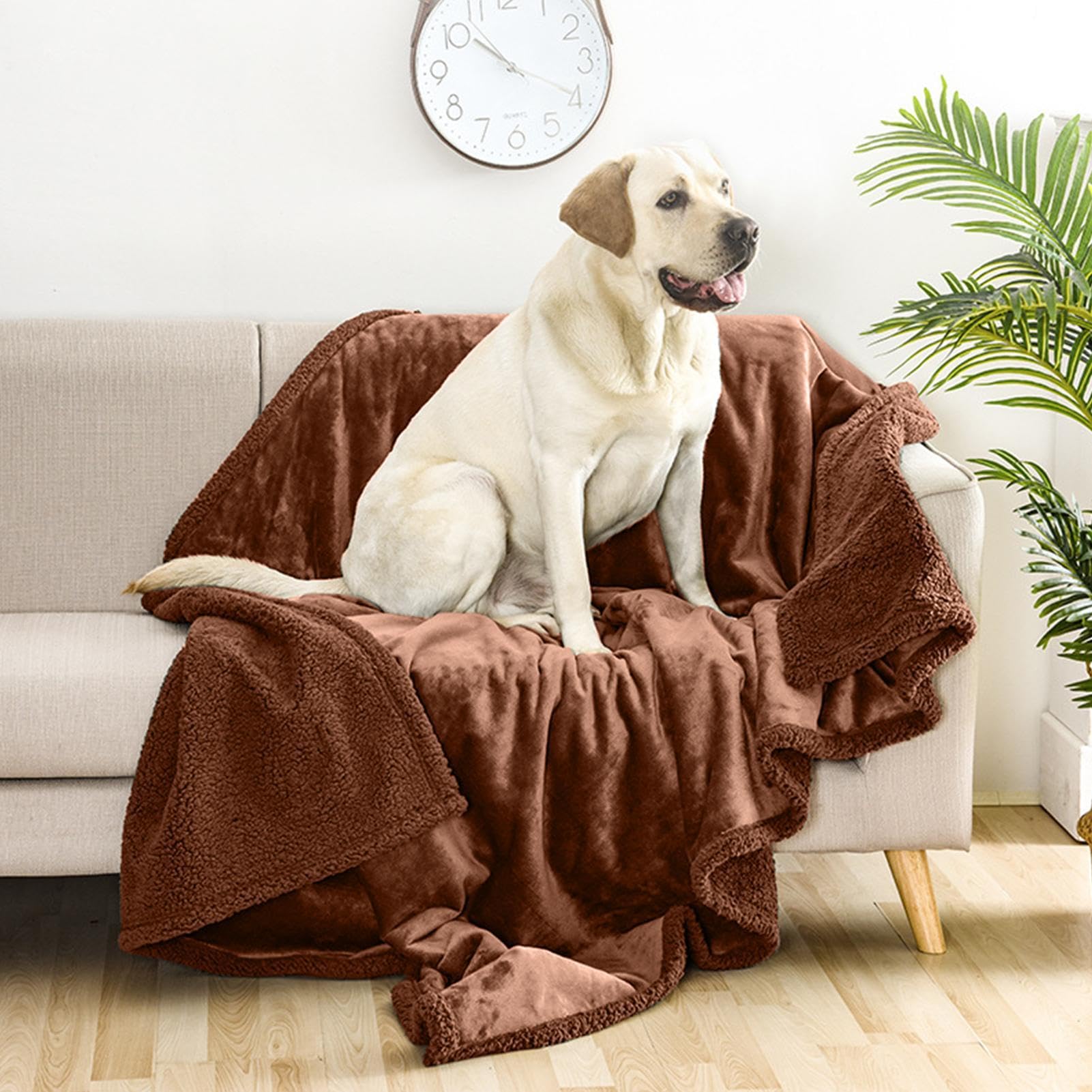 Manta para Cachorros, Manta de Franela Gruesa para Gatos, Manta Lavable | para Perros, Suministros cómodos para Mascotas para Gatos de Interior, para Todas Las Estaciones, sofá