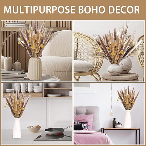 Miniatura 2 de JINBAIZHENG 60 ramos de flores de hierba de las pampas, 40 colas de conejo, 10 unidades, hierba de junco, 10 bolas doradas, flores secas naturales