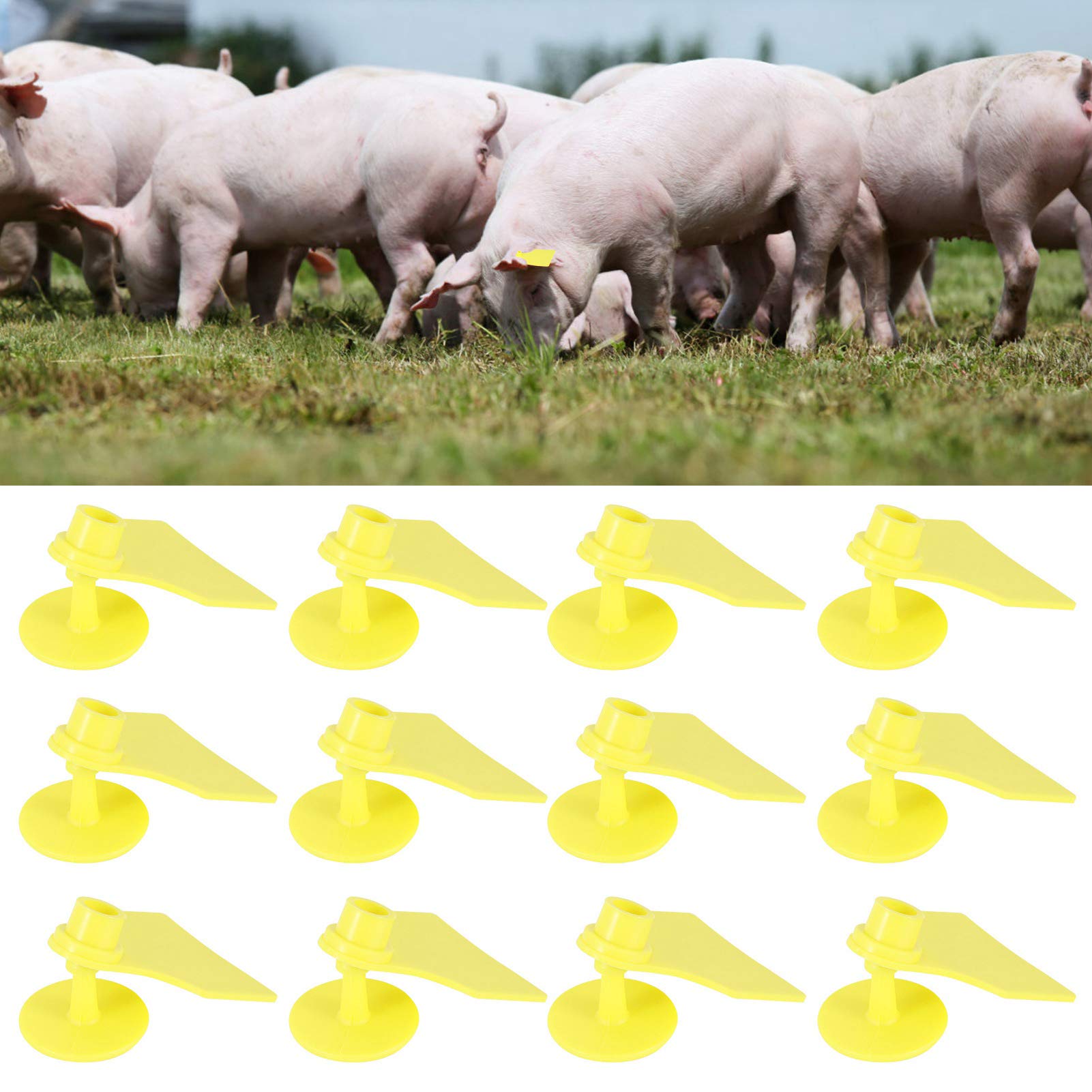 Ohrmarke Ohrmarke Gelb Pp 20 Set Nutztierkennzeichnung Blanko Ohrmarke für Ziegen Schafe Rinder Kühe Schweine Hofbedarf (S 18,5 x 10,2 x 2,6 Zoll)