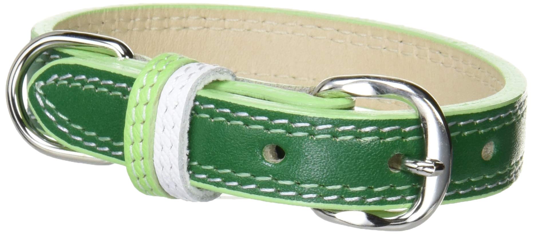 Amazon | Meister(マイスター) 首輪 M1852G Wレザーカラー 緑