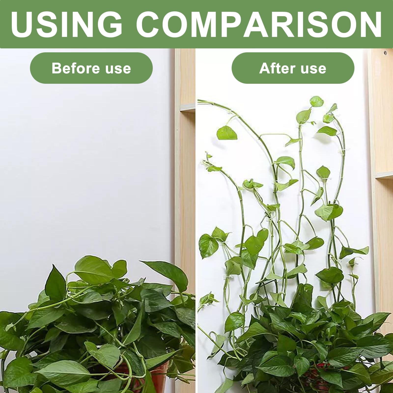 Onezebra 100 pcs Plant Clips for Climbing Plants Self Plant Wall Clips,Durable Climbing plant support,AdhesiveClimbing Plant Support - Image 4