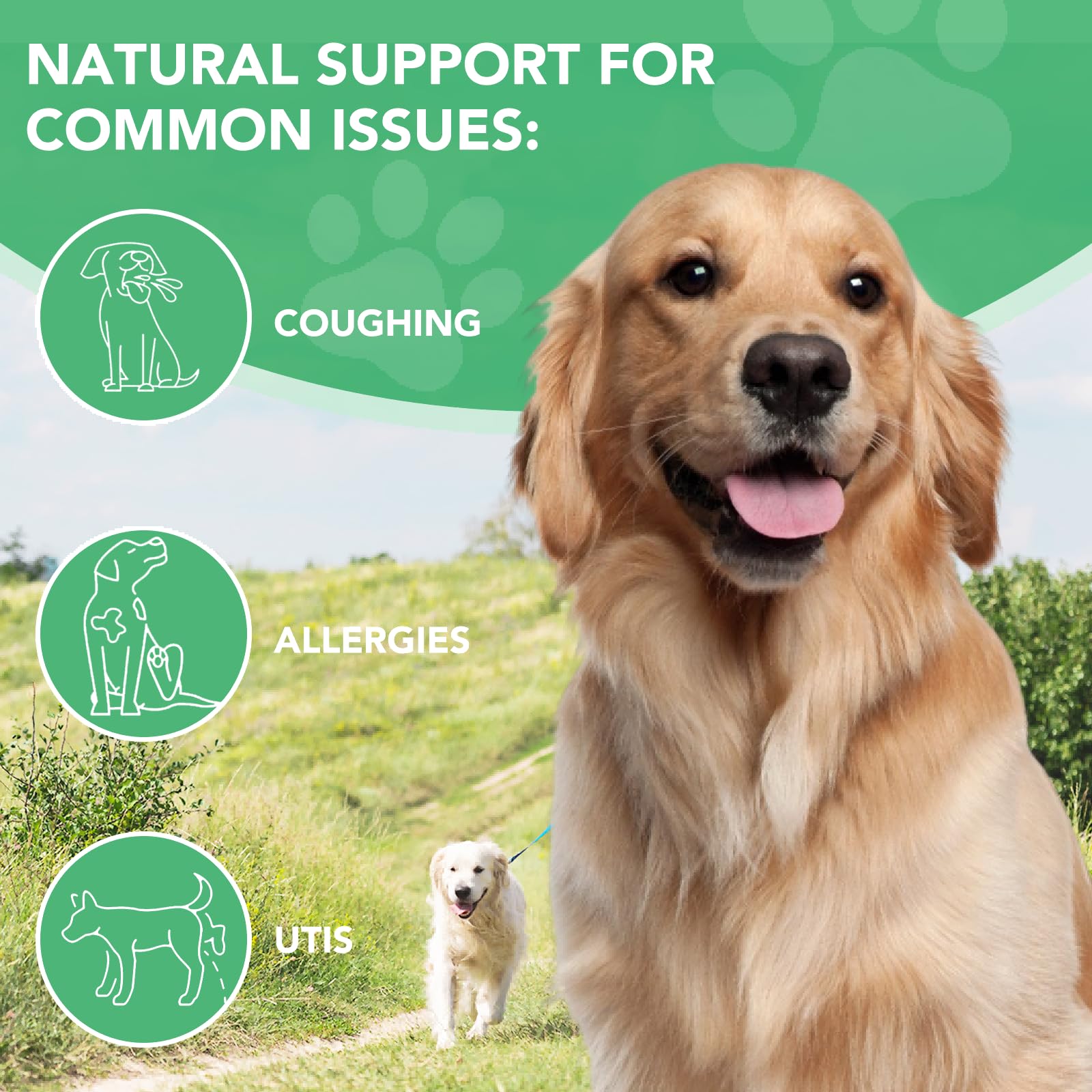 Hund Antibiotika, Natürliche Antibiotika für Hunde 60ml, Antibiotika für Hunde, juckende Haut Relief, Unterstützt Allergie Relief, Hund Antibiotika für Haut Infektion - Bacon Flavor - 2 Stück