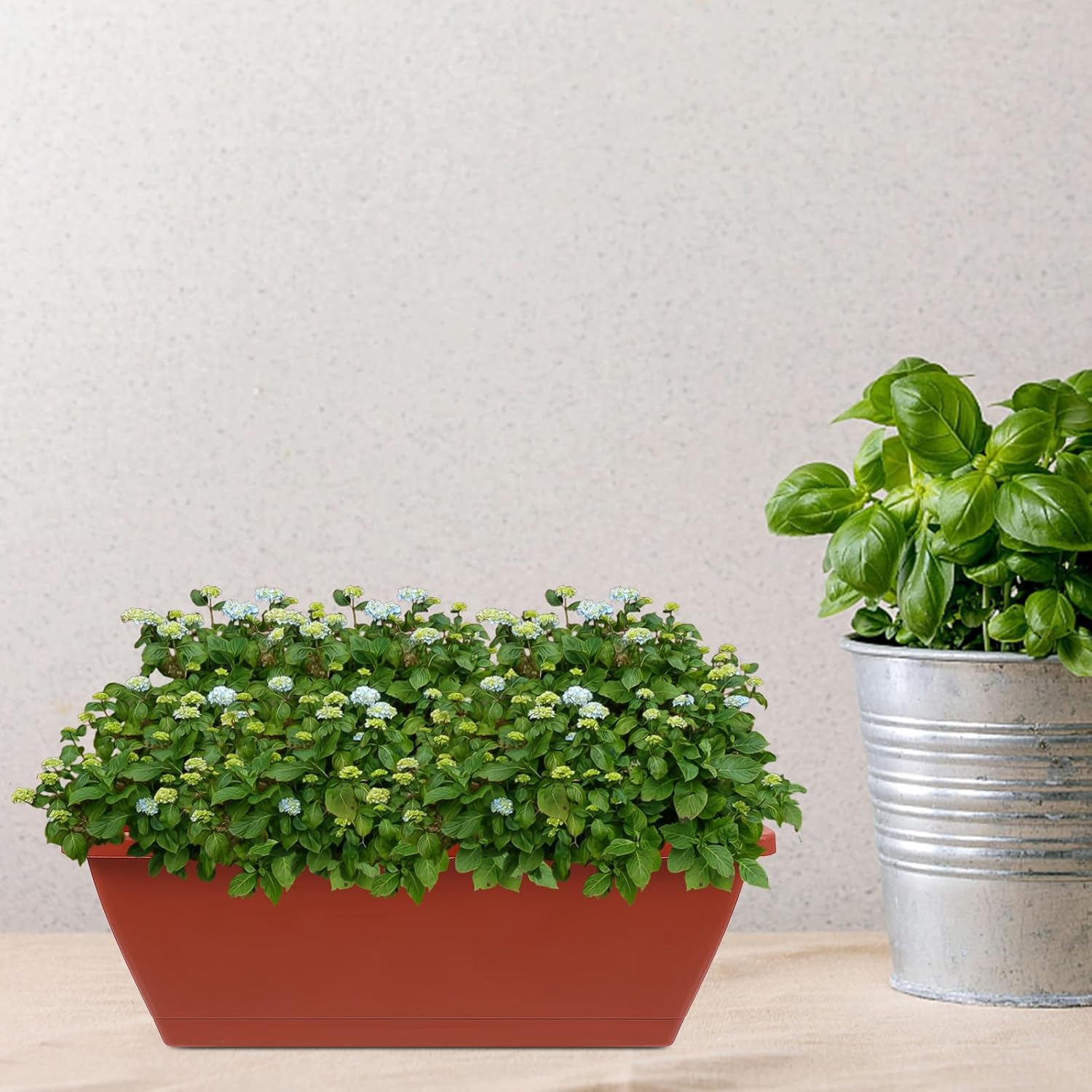 Ciieeo 6pcs Plastic Rectangular Planters Set for Balcony Gardening, Medium 43x18.5x13cm Flower Planting Containers with Drainage, Rust Red and Cart Color for Outdoor Vegetable and Flower