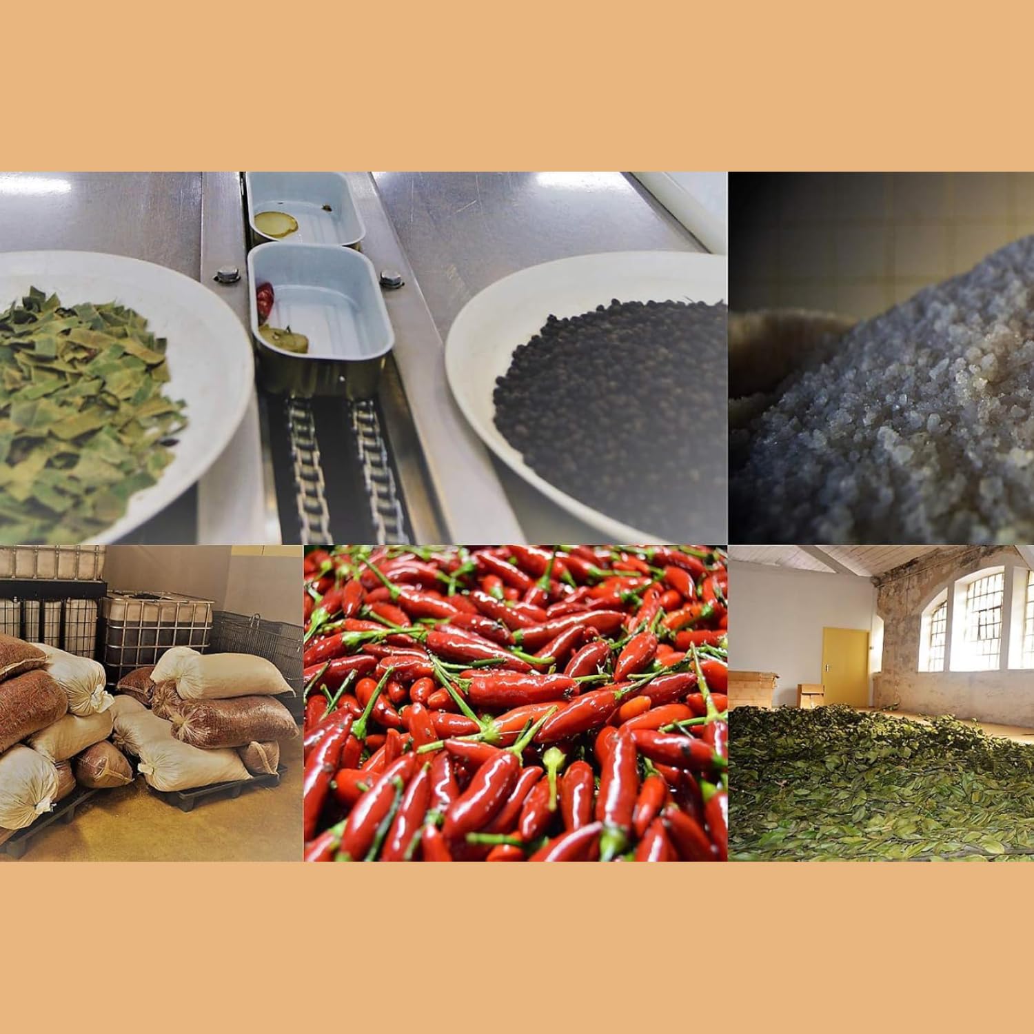 Nuri Mackerel Fillets Spiced in Olive Oil | 4 Pack | Product of Portugal | Premium Wild Caught, Hand Selected and Packaged | 100% Natural | Gourmet fish in 4.4 oz can (125 Gram) - Image 6