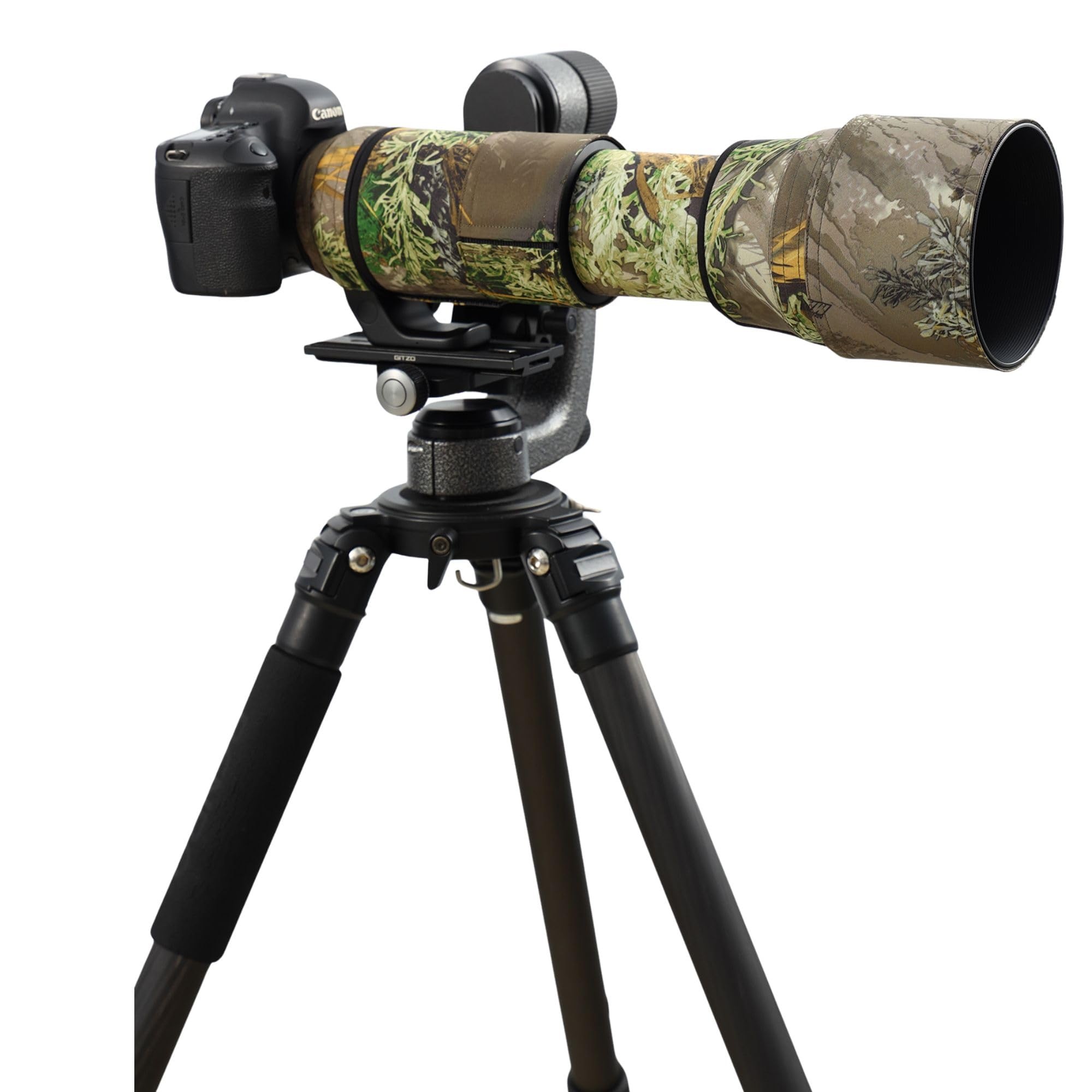 Amazon | ROLANPRO Sigma 150-600mm F5-6.3 DG OS HSM Contemporary