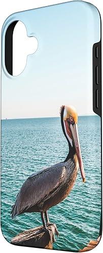 Vista 86 de iPhone 11 Pelican Case