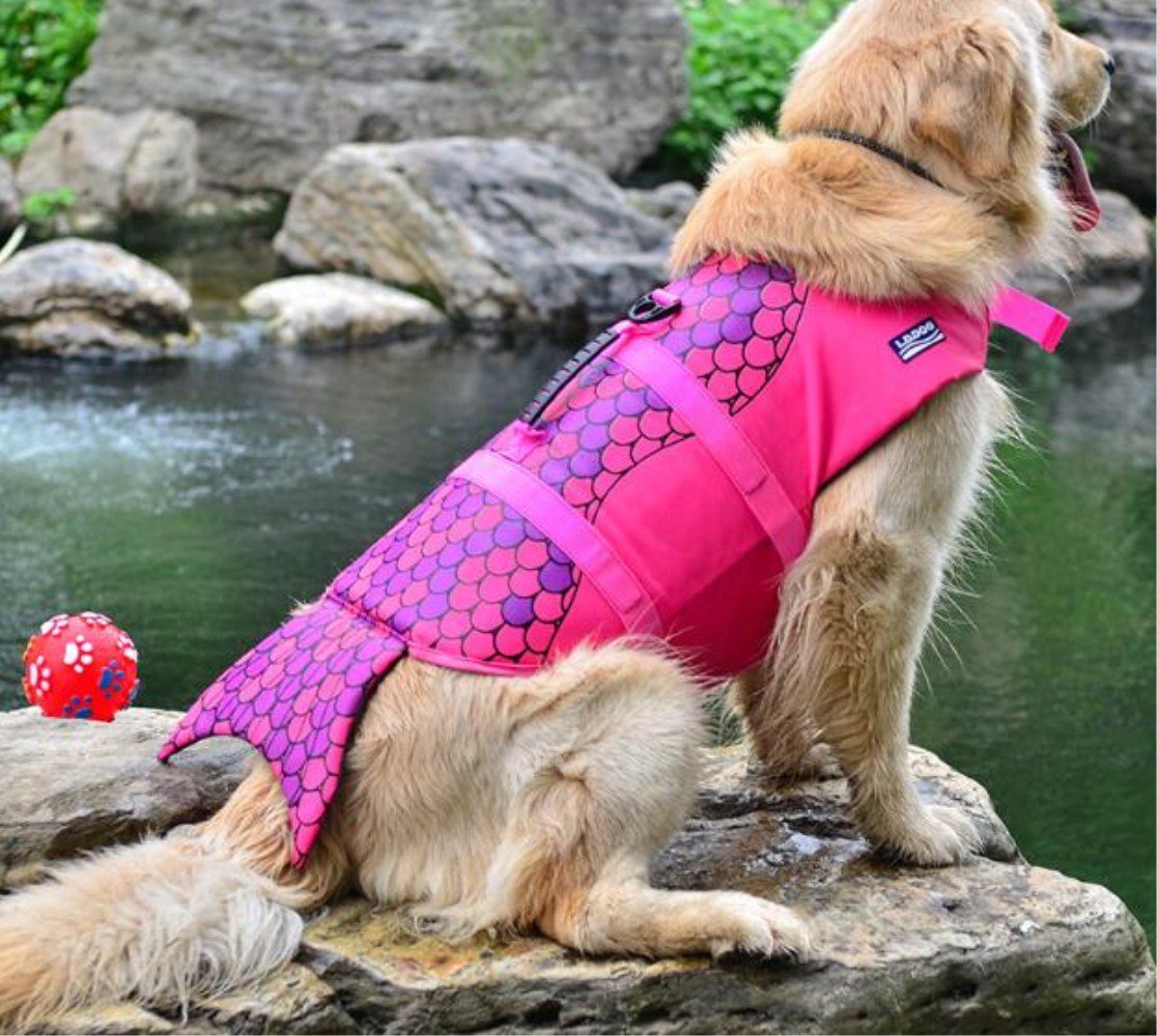 Gilet de sauvetage professionnel pour animal domestique avec poignée pour le levage et le cosplay (M, sirène)