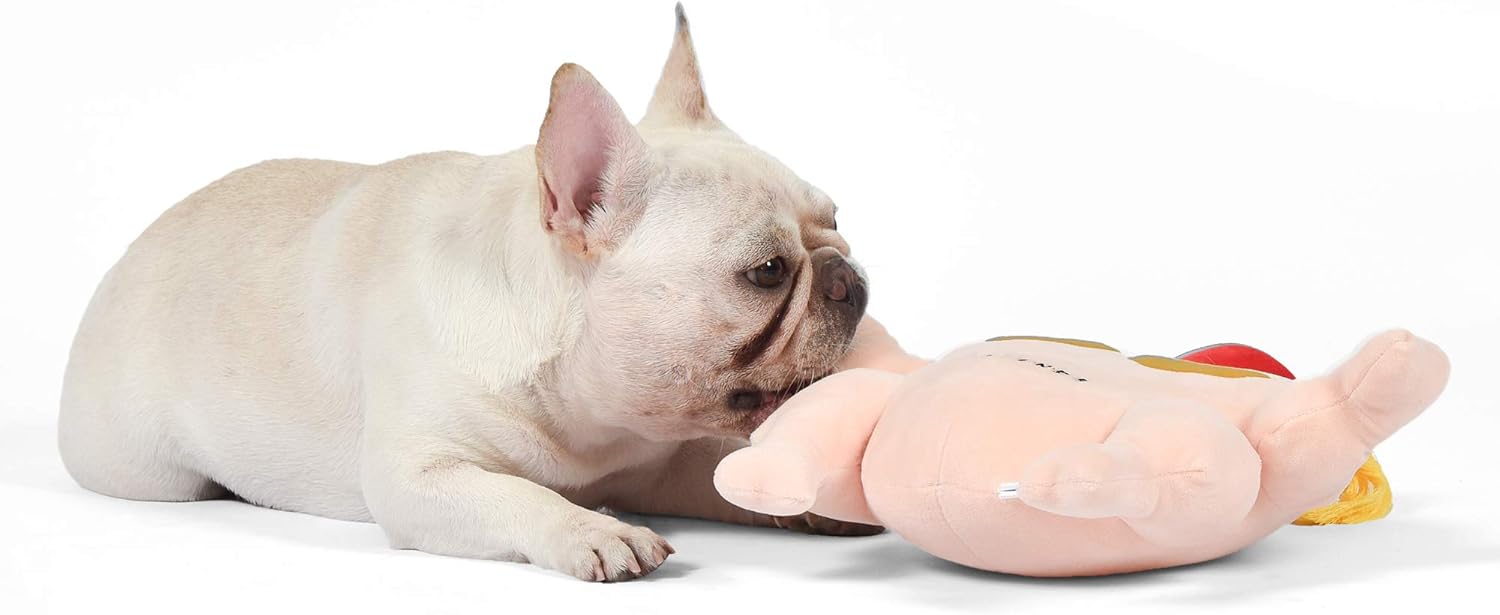 Friends the TV Show Turkey Head Plush Dog Toy | Soft Cute Squeaky Toy for All Dogs | Stuffed Animal Dog Toys with Squeaker for Added Fun from Friends Thanksgiving Episode