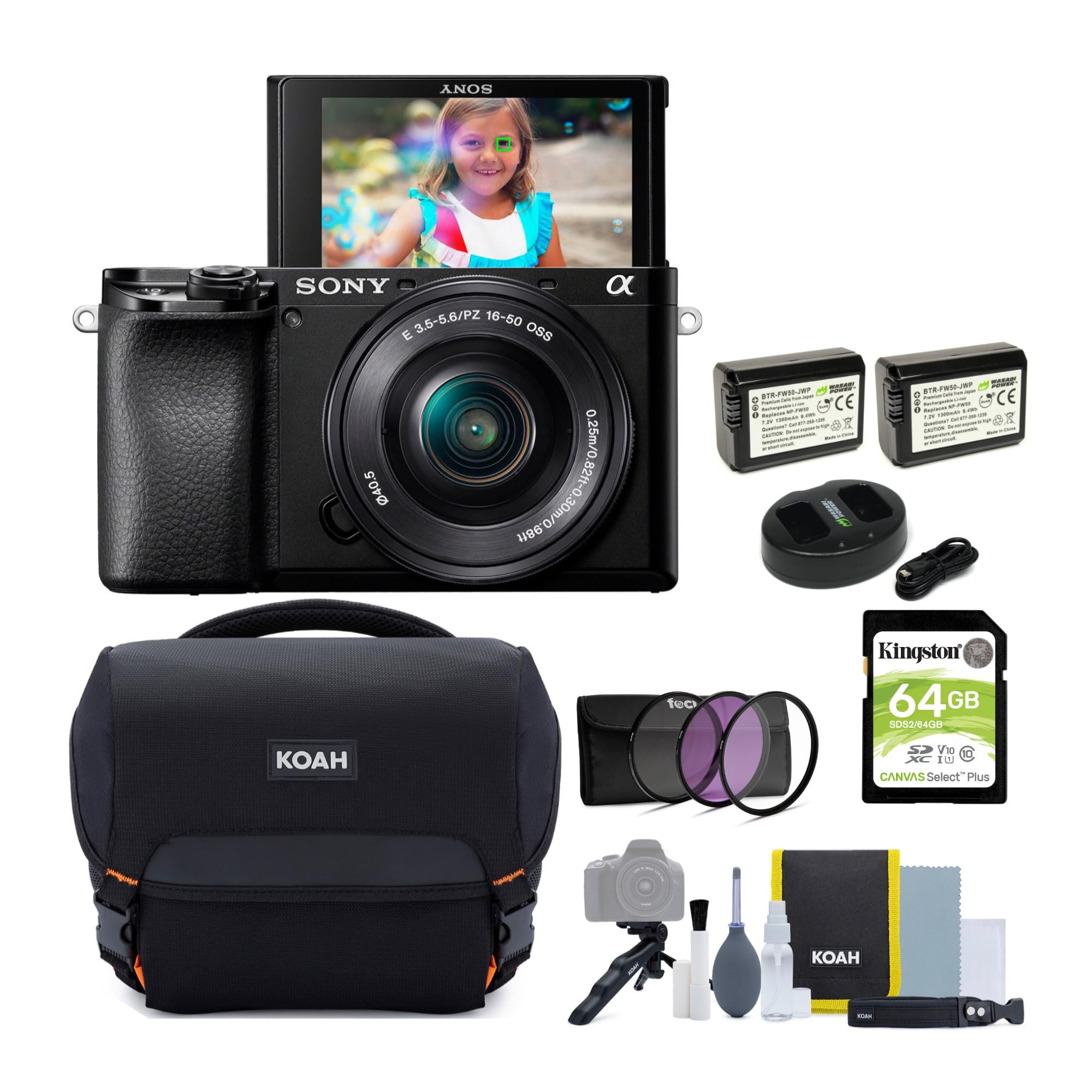 Amazon.com : Sony Alpha a6100 APS-C Mirrorless