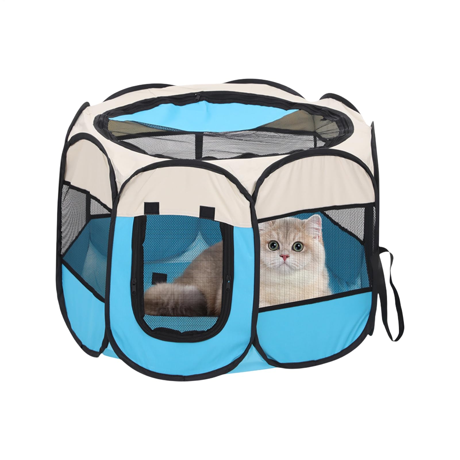 Recinto Portatile per Gatti - Gabbietta Pieghevole Per Gatti Da Interno Con Rete Semichiusa - Trasportino Arieggiato Per Cuccioli Furetti Ricci Porcellini D'Criceti Viaggio Campeggio Interno