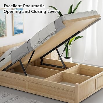 Lid Lifter Bed Risers, Hydraulic Bed Lifter Hydraulic Bed Lift Mechanism Set, Gas Piston Bed Lift Mechanisms For Sofa Bed Box Storage Queen Twin Space Saving DIY Project Hardware(Black,800mm)