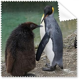 Sea Cold Antarctic Penguin Science Nature Picture Cleaning Cloth Phone Screen Glasses Cleaner 5pcs
