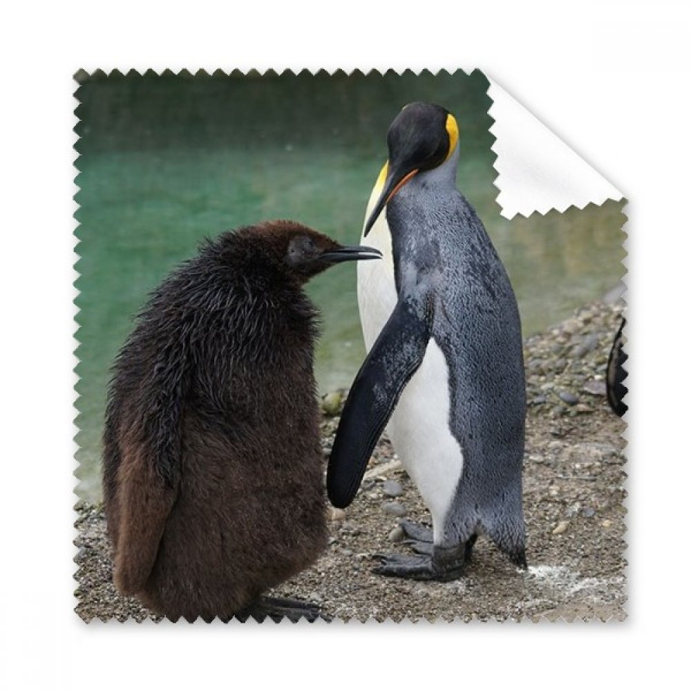 Chiffon microfibre pingouin Antarctique science photo 5x - 3