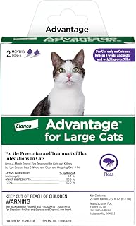 Advantage Topical Cat Flea Treatment and Prevention for Large Cats Over 9 lbs. | Apply Flea Drops Monthly | 2 Treatments