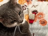 Review Image by WendyDee WendyDee