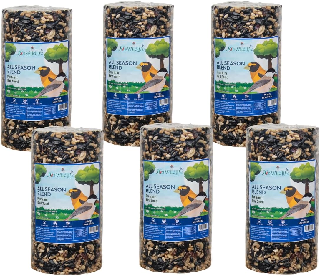 4Pack of Mr Bird's Bugs Nuts & Fruit Small Wild Bird Seed
