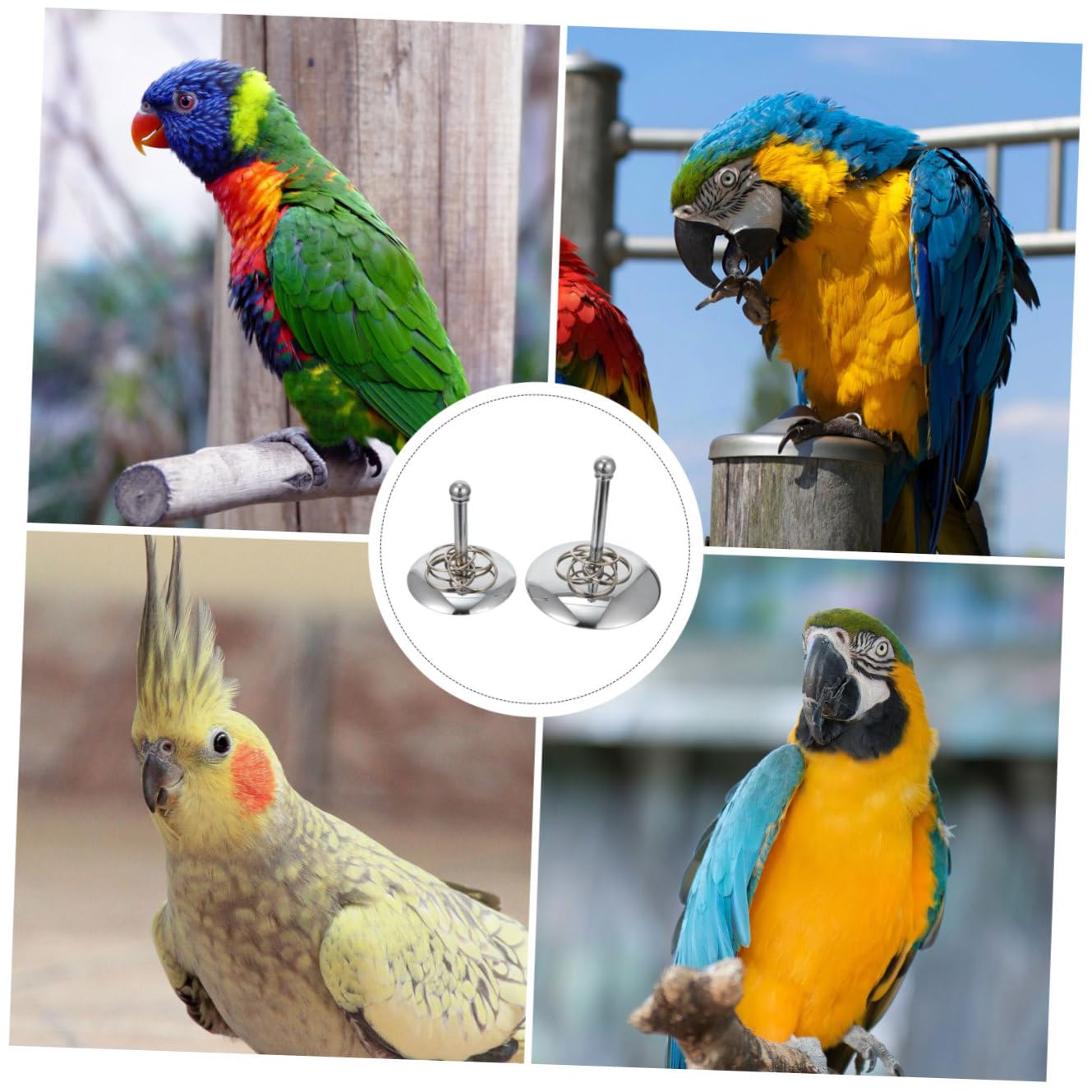 Yardwe 6piezas Juguete para Aves Set De Entrenamiento para Periquitos y Inteligencia y Diversión Diaria Juguetes De Entrenamiento De Mesa para Agapornis y Aves
