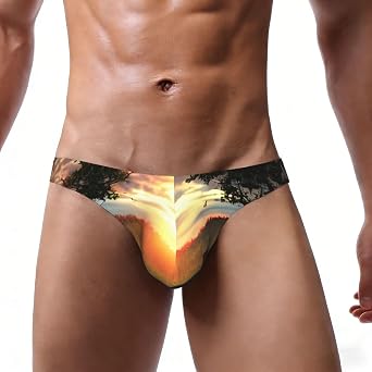 Lonely Bench Sunset Print MenS Bikini Briefs,Classic Underwear,Briefs,Sexy Bikini Swimsuits,Lightweight Underwear