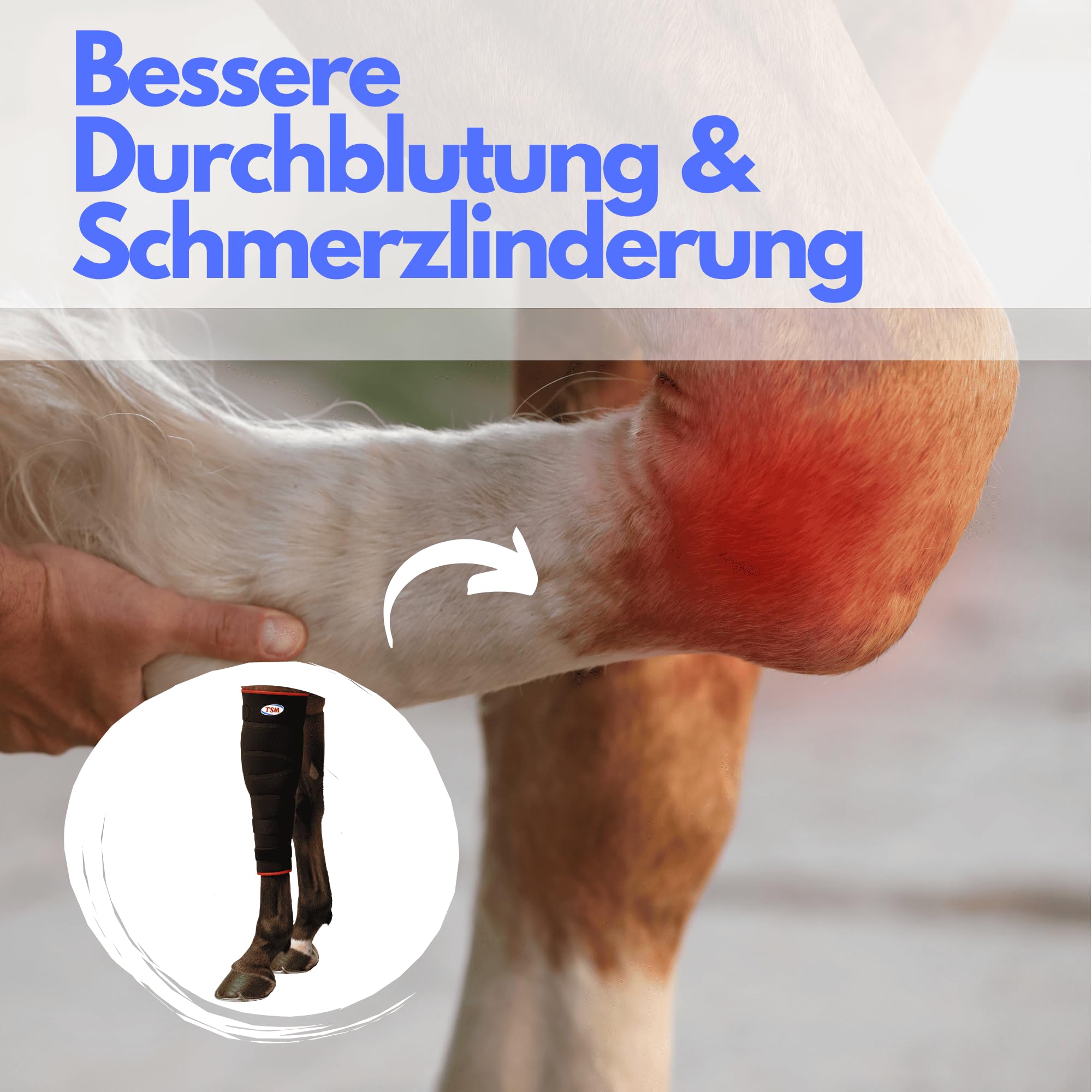 TSM Pferdebandage Vorderfußwurzelgelenk | Reha-Bandage aus Neopren | Schutz & Regeneration bei Arthrose & Entzündungen | Artikelnr 7201 | Made in Germany | Links, Größe S