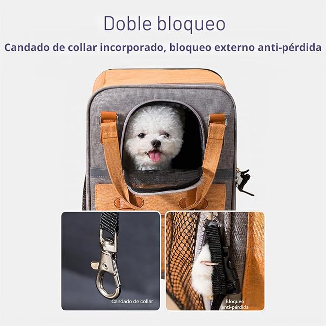 Foto 8 de 8 de PETCUTE Mochila Transportín Gato,Mochilas para Gatos y Perro Bien Ventilado con Correa de Seguridad…
