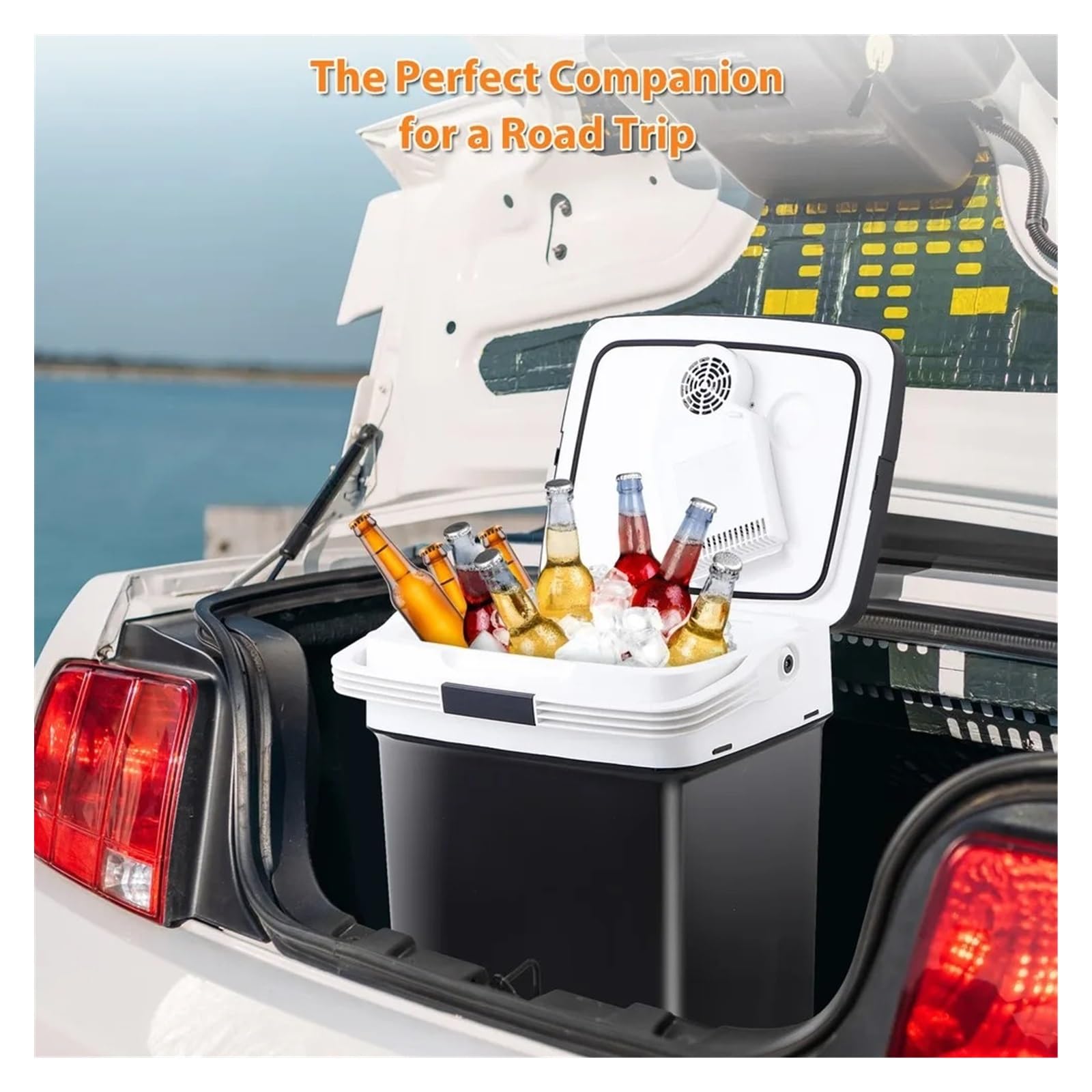 Nevera eléctrica for Coche, 12 V CA/CC, con asa, 29 L