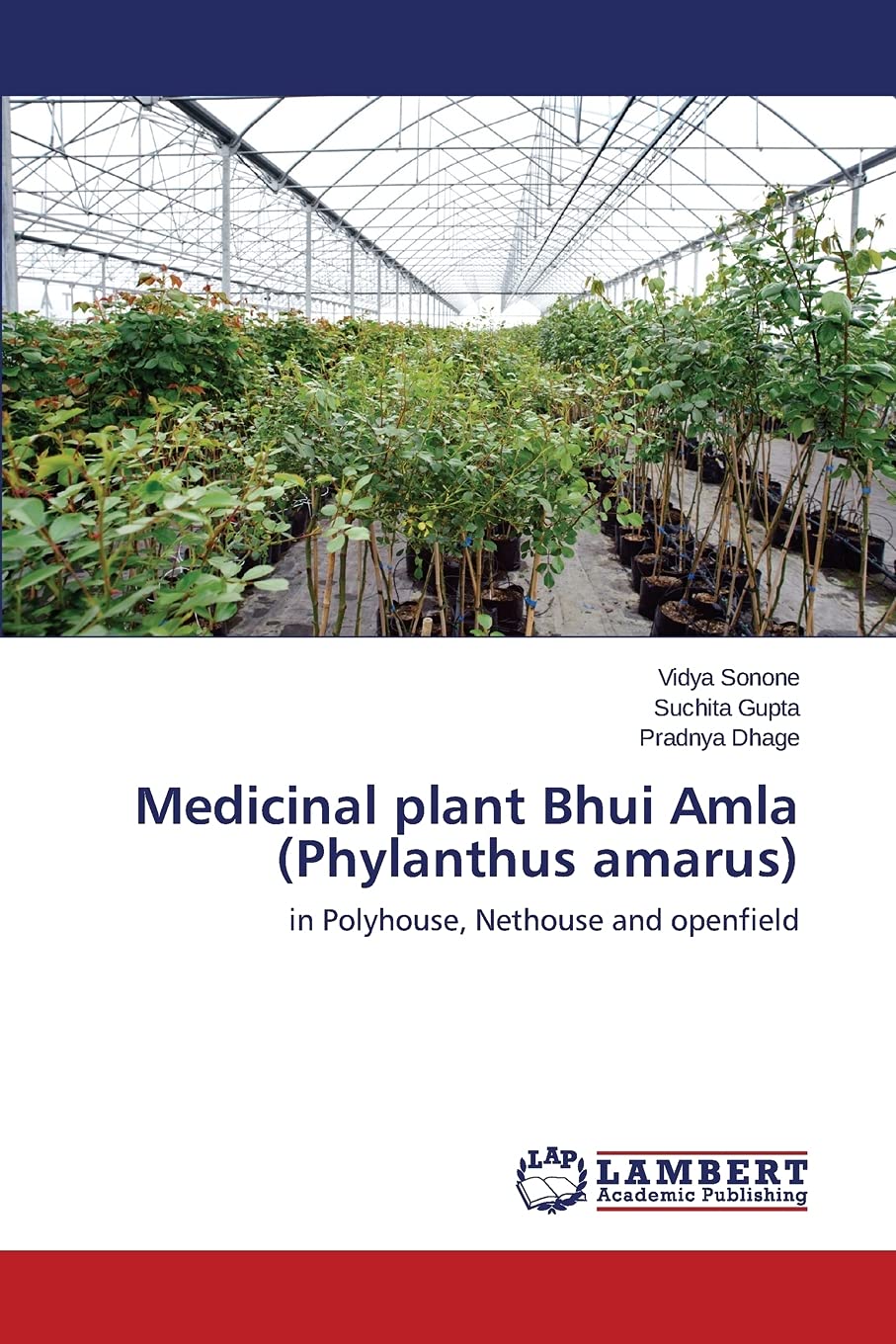 Medicinal plant Bhui Amla (Phylanthus amarus)