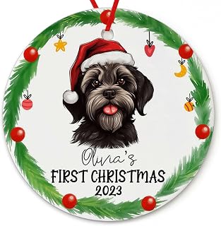 Dinoz Baby First Christmas Havanese Dog Lovers, Baby Santa Claus Décor Customized Name Ceramic Both Side Printed Round Circle Ornament for Home Keepsake Gift Decoration