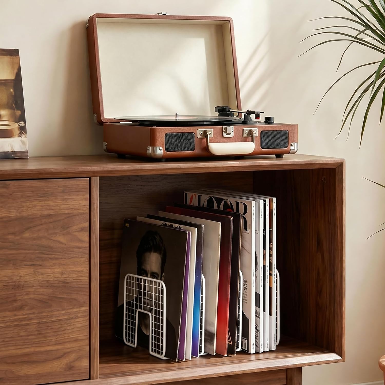 DAWASAPAT Vinyl Record Storage Holder Stand Vinyl Coated Metal Wire Rack Tabletop Magazine Holder Rack, Record Storage, Album Storage Rack Sorter Organizer for Home Office school
