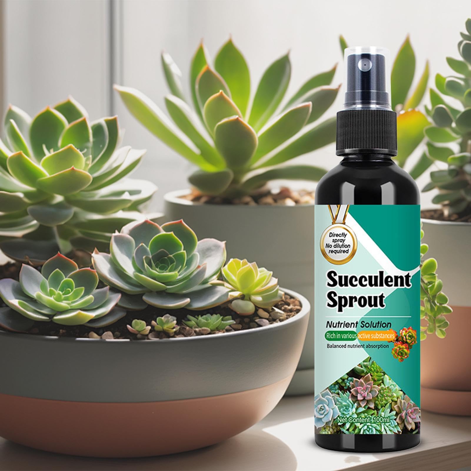 Kakteen Dünger - Sprossenstärker Spray Für Kakteen Und Sukkulenten | 100ml Langzeit-Sprühdünger Für Wachstum Und Vermehrung