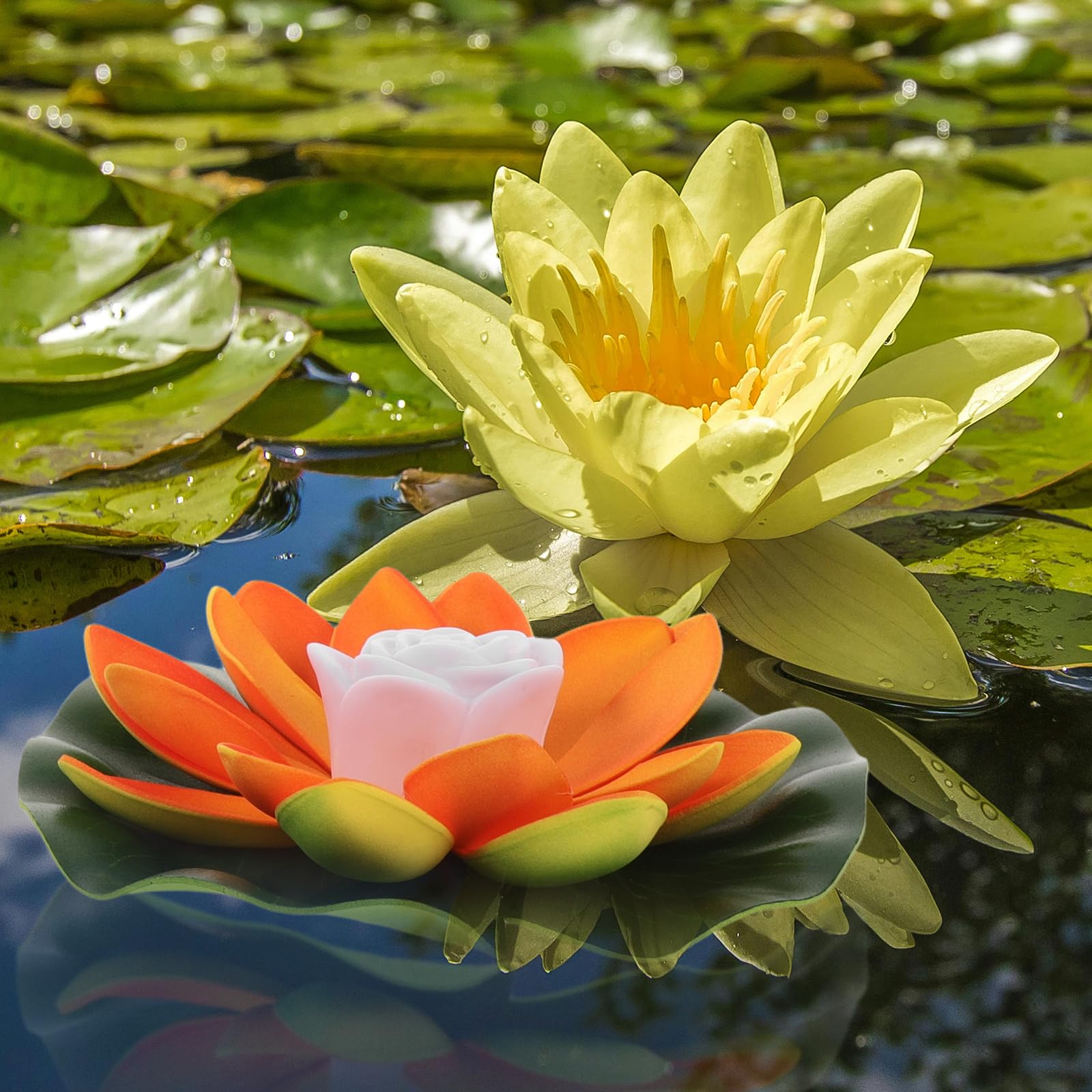 6 Schwimmende Lotuslichter LED – Künstliche Seerosen In Verschiedenen Farben, Mit CR2032 Batterie, Wasserdicht, Für Teich, Pool & Garten-Deko