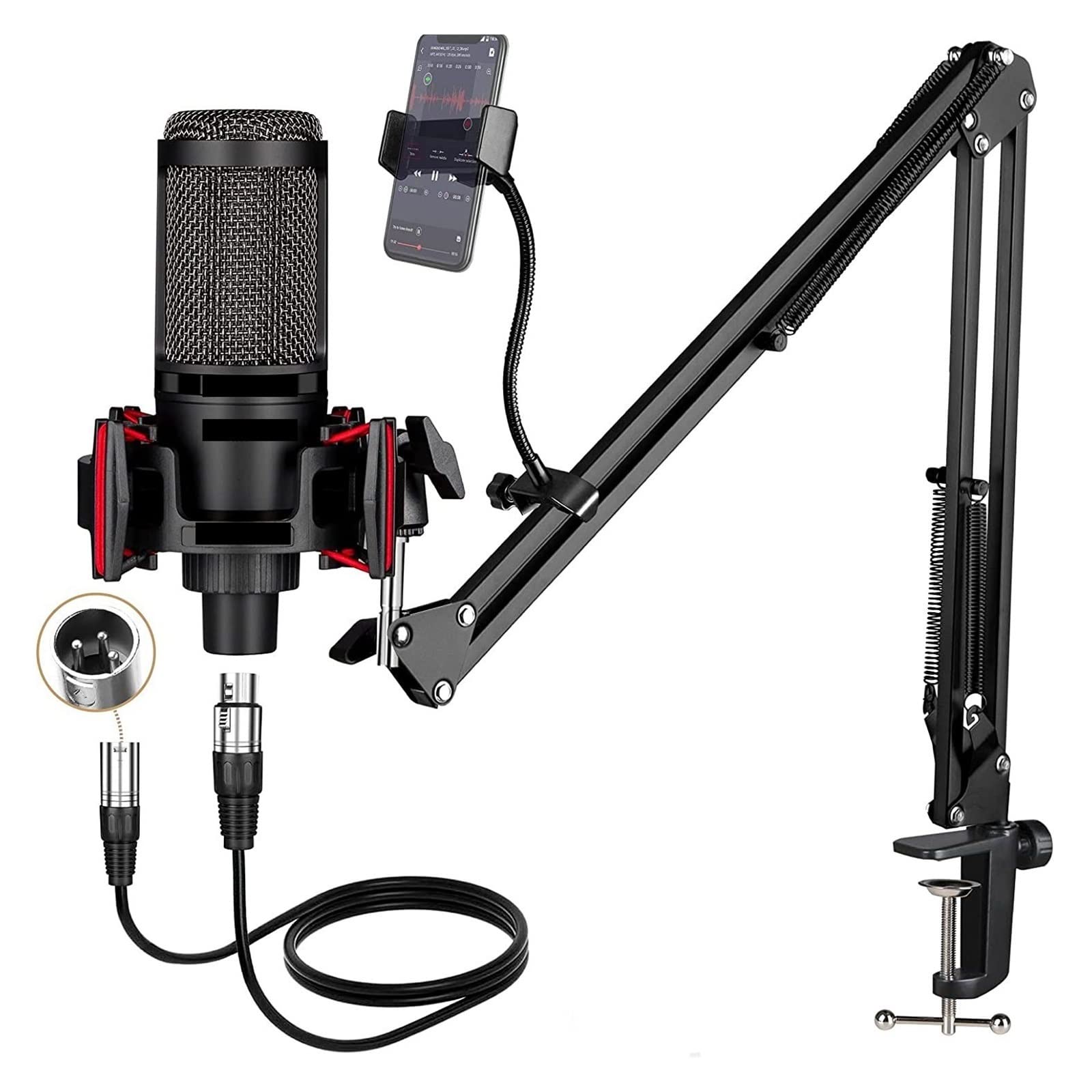 Microphone XLR à condensateur cardioïde pour chant et podcast de studio
