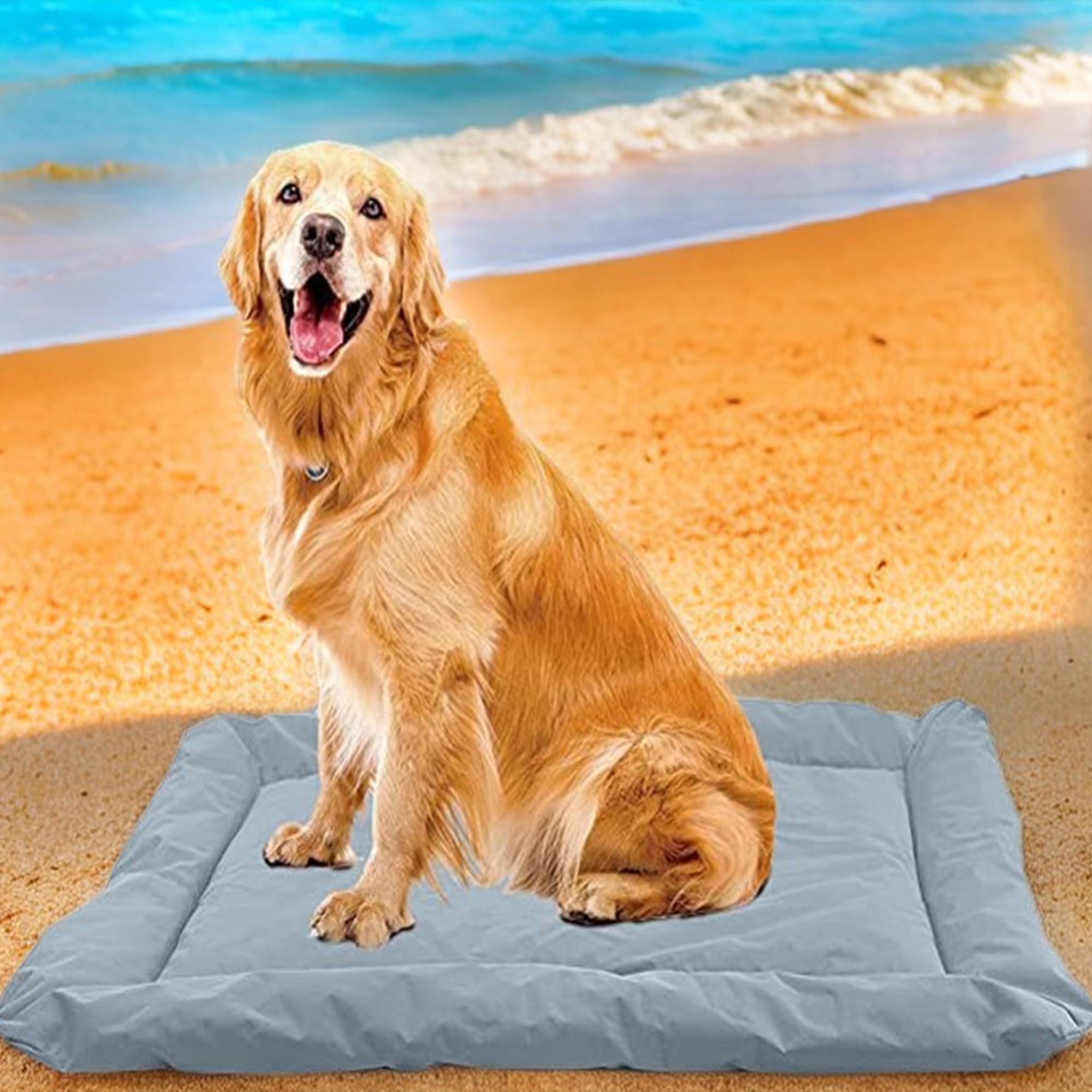 cama perro Colchoneta Plegable para Perros, Cojín portátil para Perros, Lavable Impermeable Cama para Perros Grande, cama perro ortopedica (Azul )