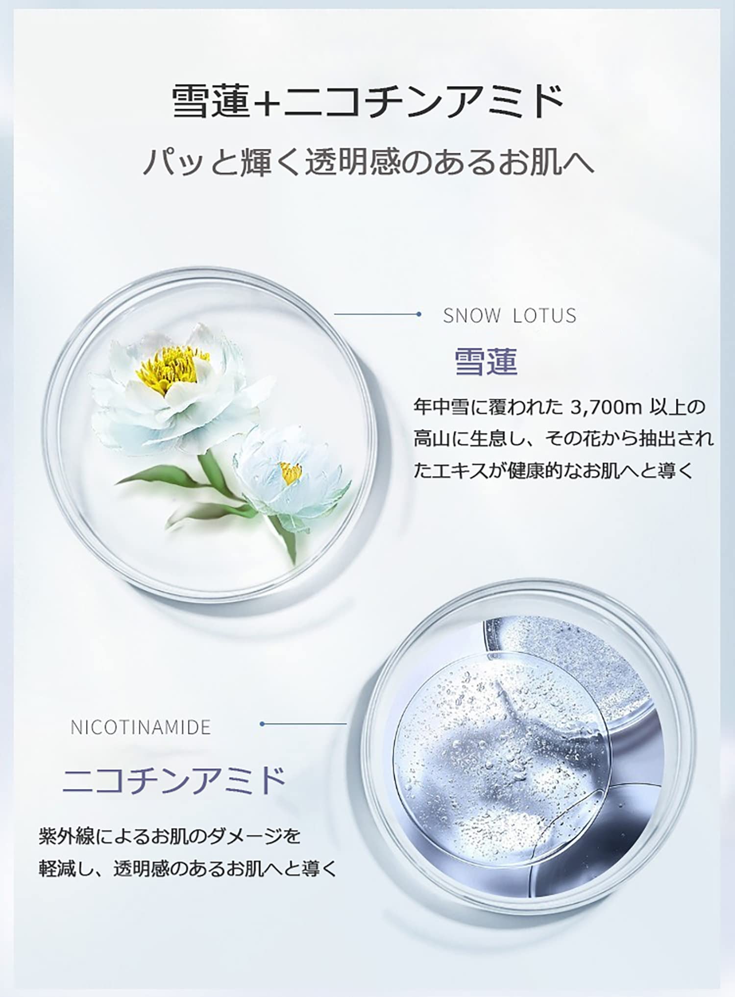 Amazon.co.jp: DR PLANT 【スノーロータス（雪蓮）】スノーホワイト 