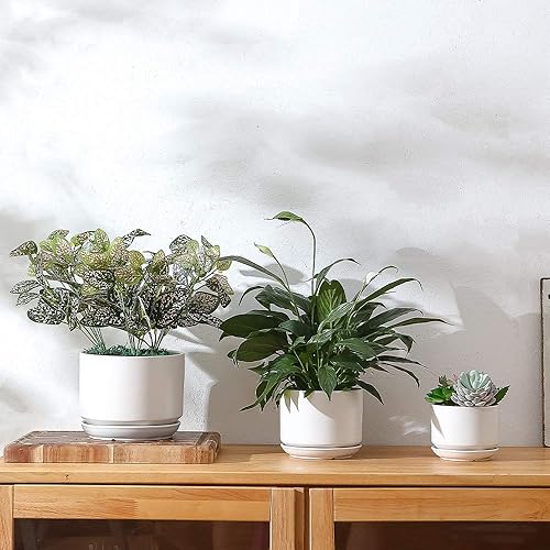 Miniatura 10 de Yishang Macetas suculentas de cerámica esmaltada de 6.7 + 5.3 + 4.1 pulgadas con platillos conectados, macetas redondas de cerámica modernas,